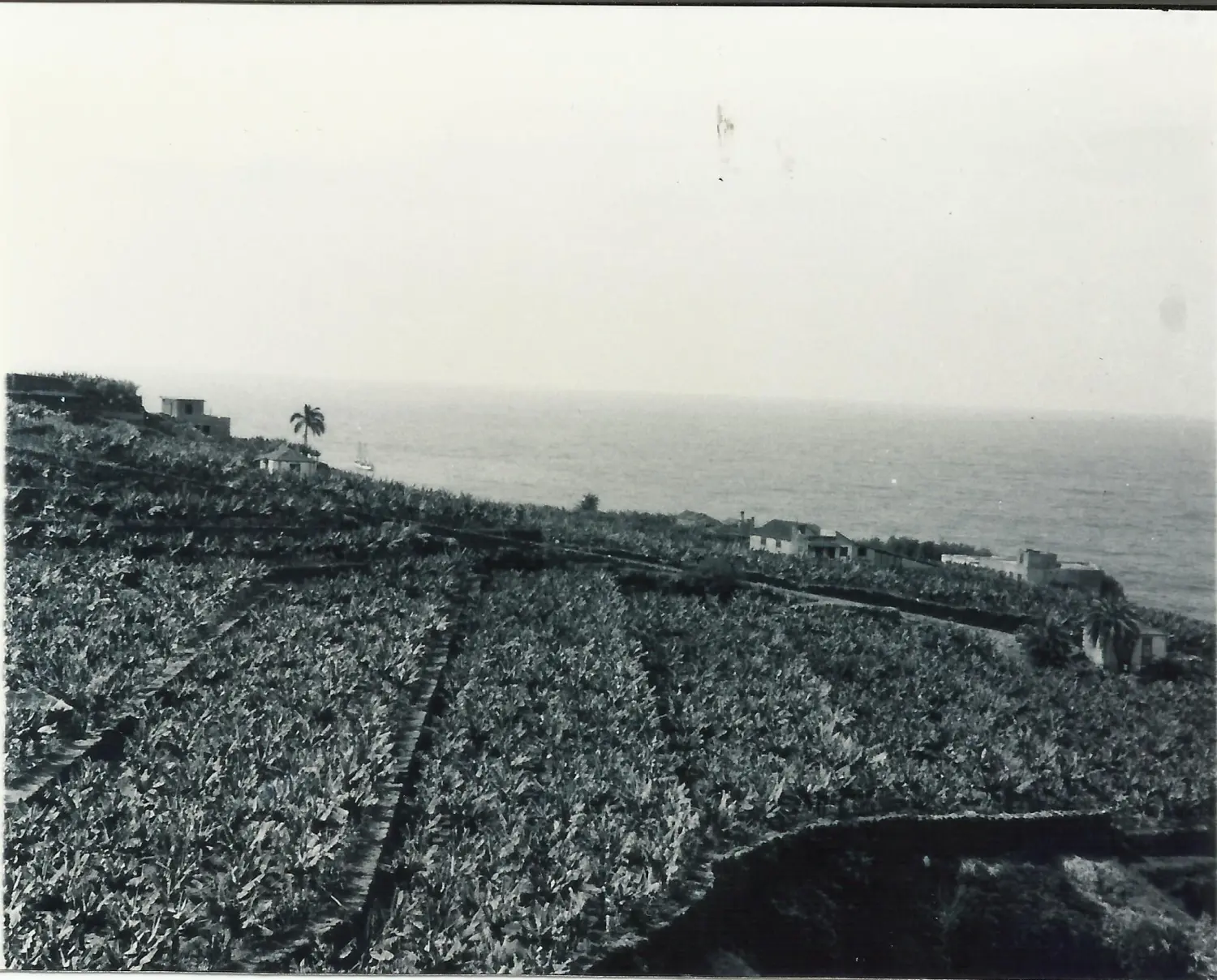 El Convento - San Andrés