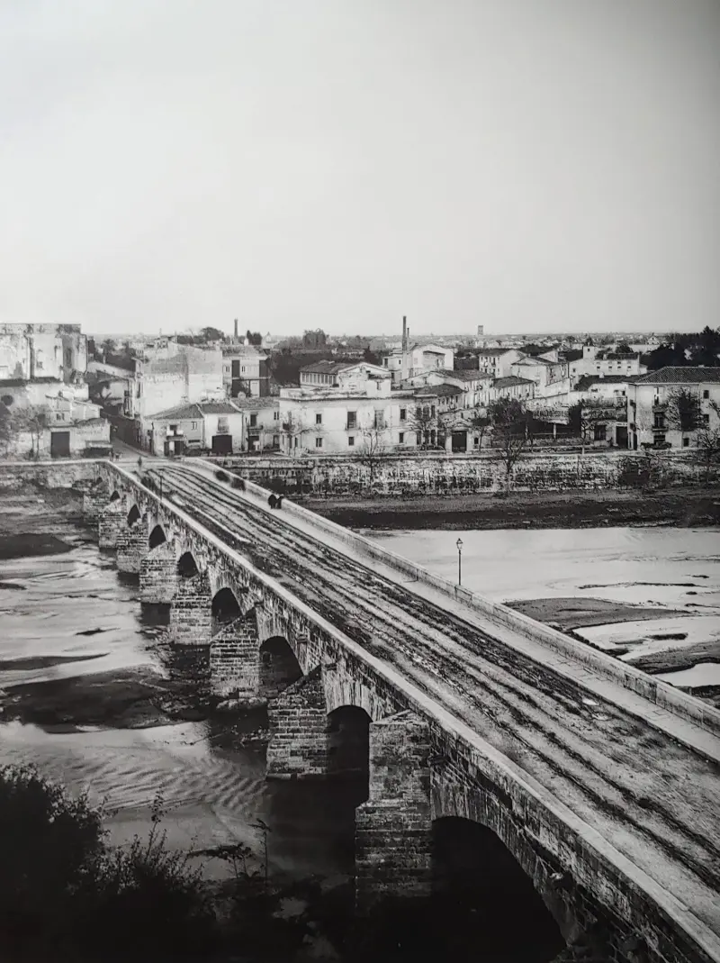 Rio Turia a su paso por la ciudad