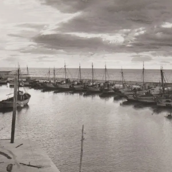 Flota de barcos de pesca