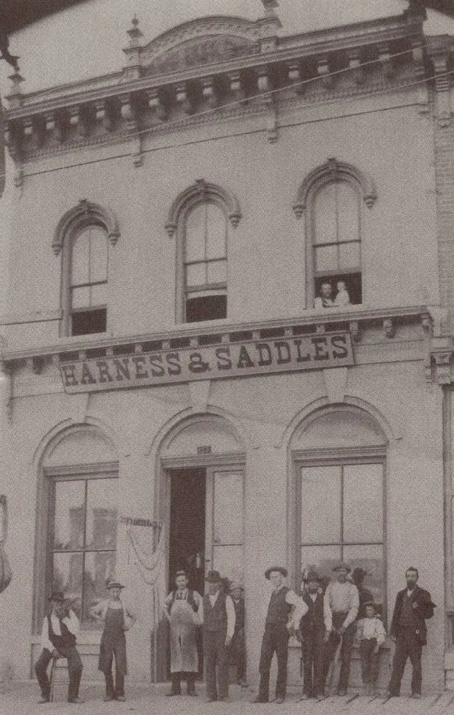 HARNESS STORE