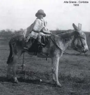 Ernesto Guevara (de 5 años) en el tradicional «burrito cordobés»