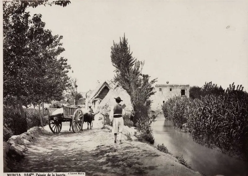 Paisaje de la huerta