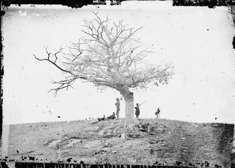 Confederate forces are defeated at the Battle of Antietam