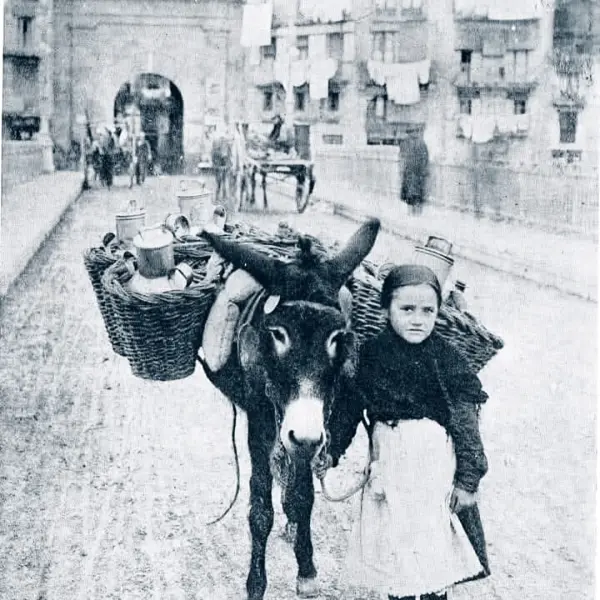 Niña con su burro 