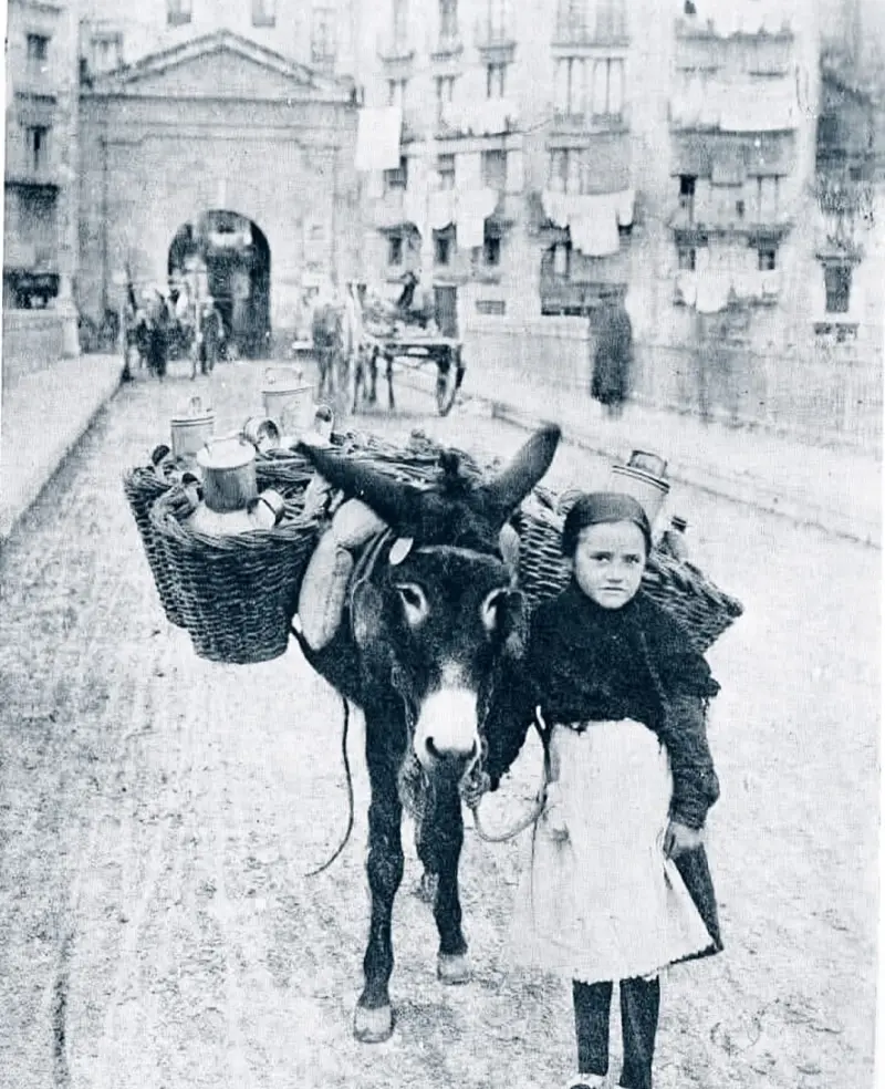 Niña con su burro 
