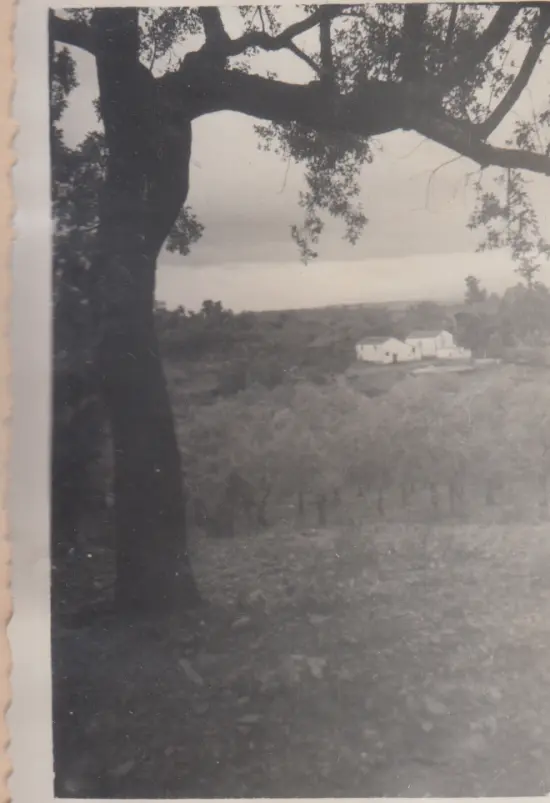 Día de descanso en "El Machuco"