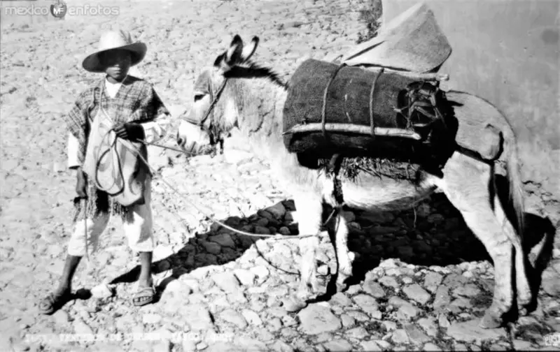 Vendedor de carbón.