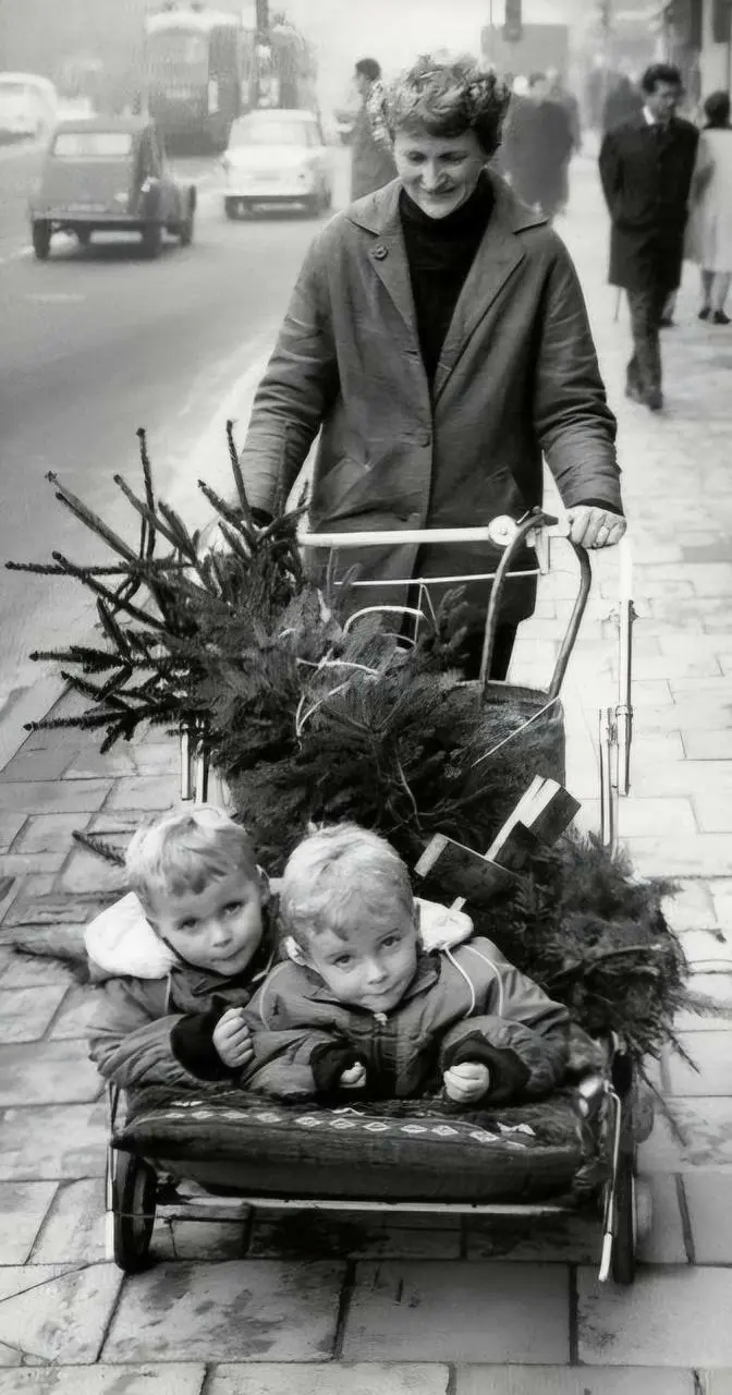 A Home in The Netherlands with a Christmas Tree