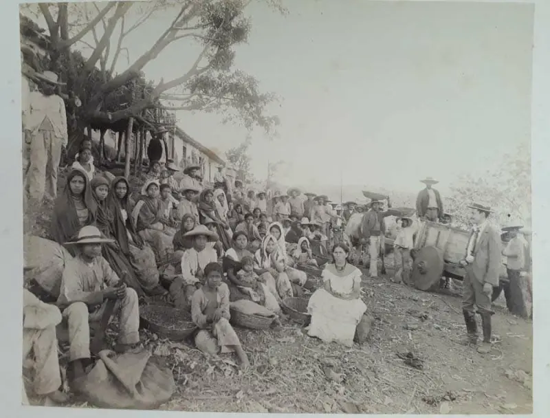 Recolectores de café