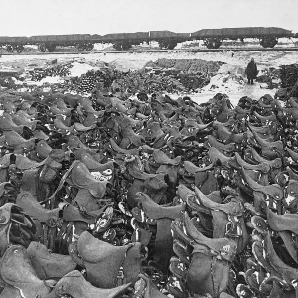 Romanian cavalry