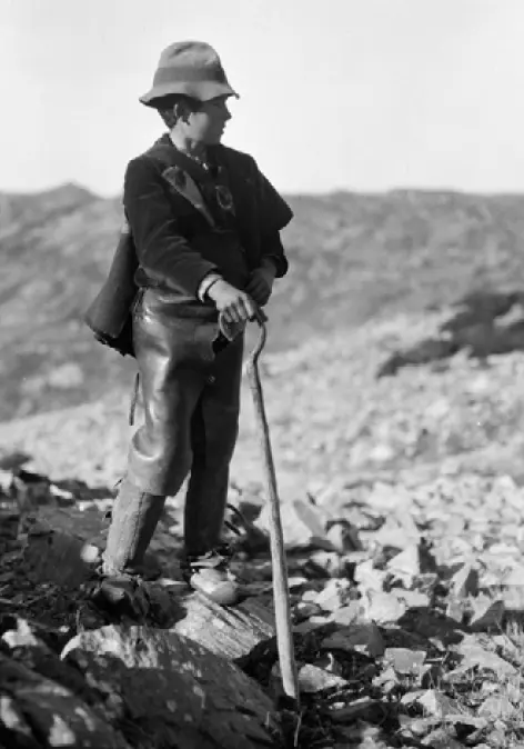 Cabrero en Peña de Francia.