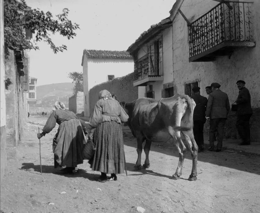 Tiempo de vacas flacas Tiempo de vacas flacas