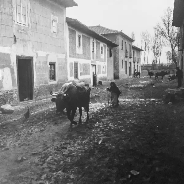 Vista de una calle, con personas y ganado vacuno.