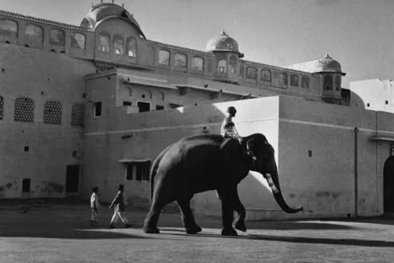 Elephant in front of Jaipur Palace