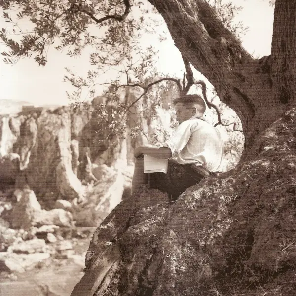 Niño