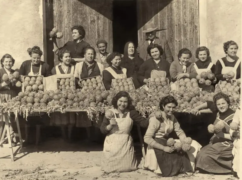Almacén del Tío Paco el Jacinto
