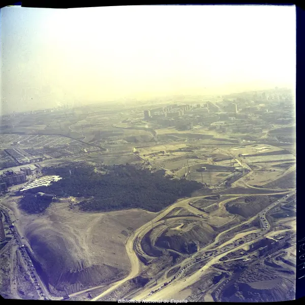 El pinar de La Elipa