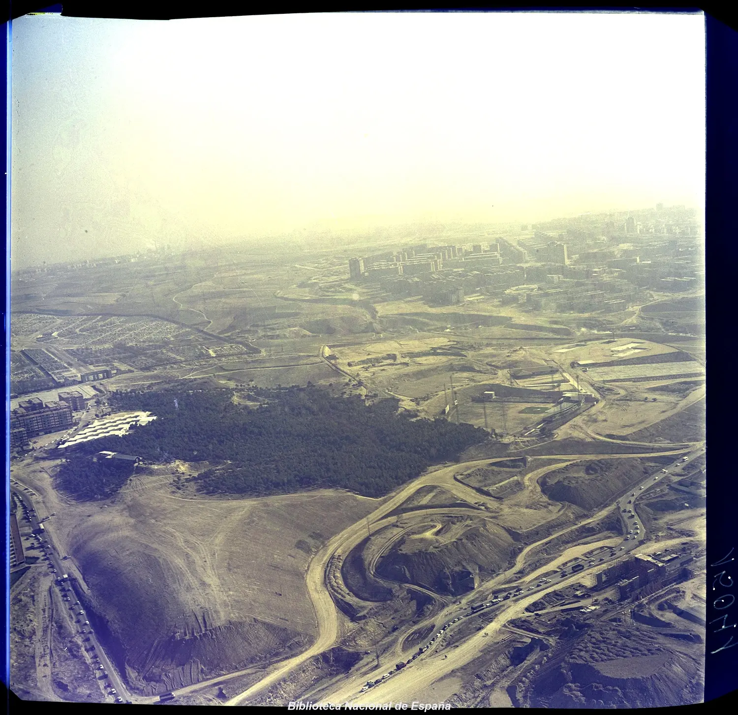 El pinar de La Elipa