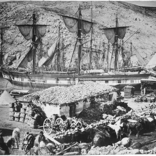 The bustling and busy harbour