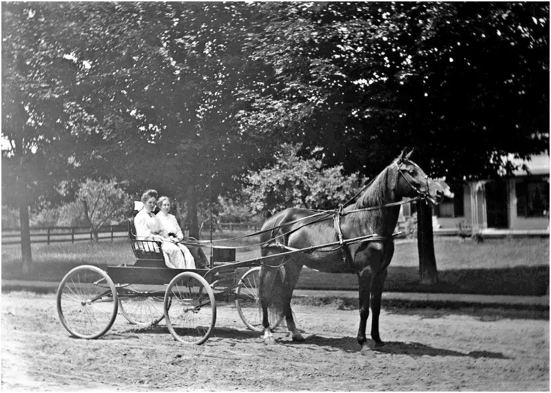 Two women driving a buggy