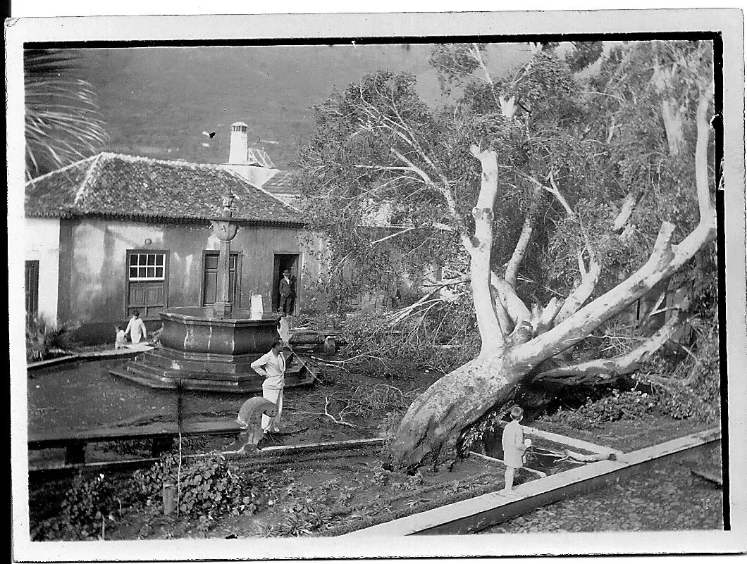 Temporal Los Llanos de Aridane