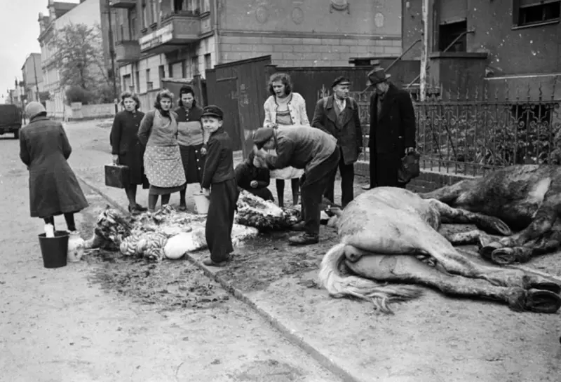 The civilian population of Germany