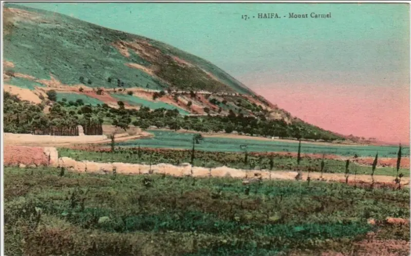 Karimeh Abbud: Haifa Mount Carmel, British Mandate of Palestine