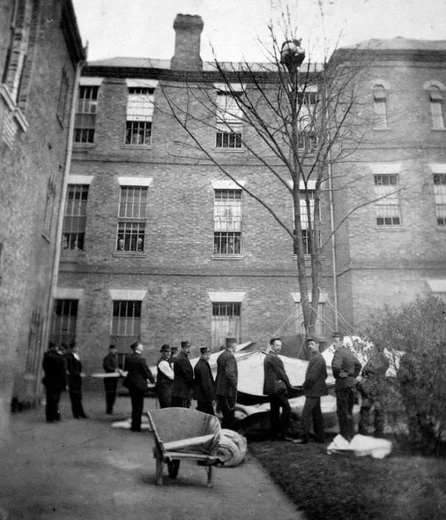 Attempt to Rescue Psychiatric Patient Down Tree