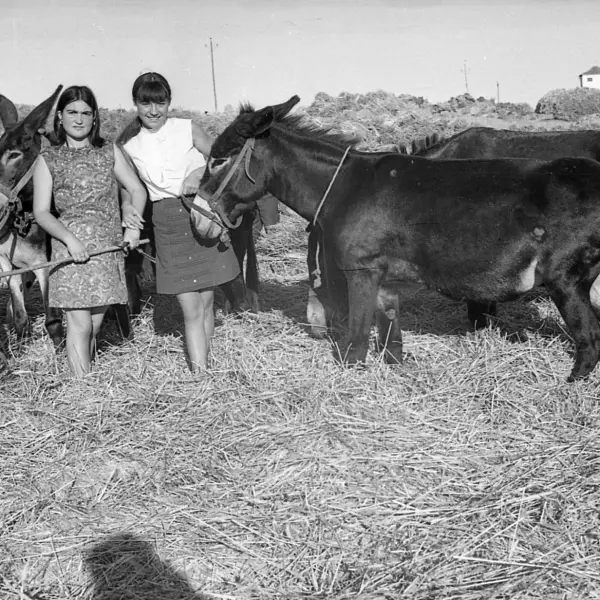 Amigas posando en la era.