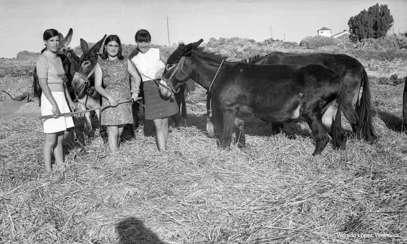 Amigas posando en la era.