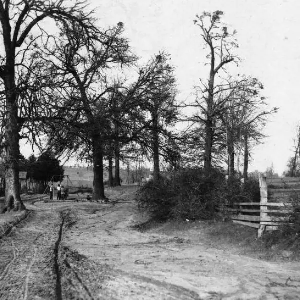Country Road