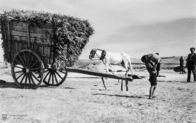Niño bebiendo agua junto a un carro