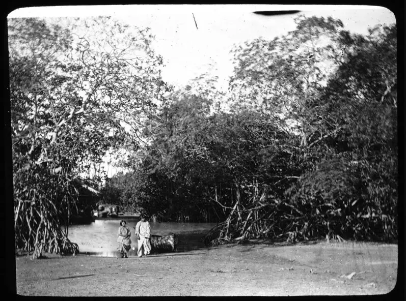 Desembocadura del brazo Calancala