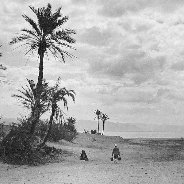 Looking to the River Nile