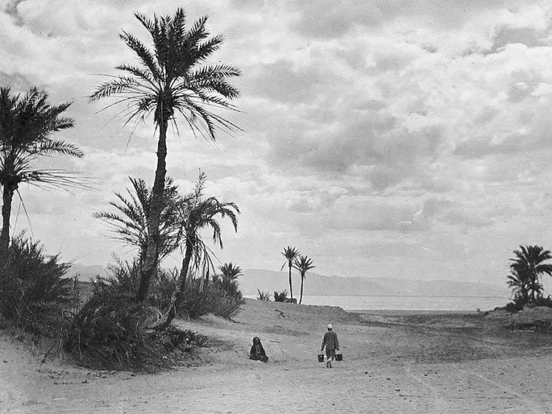 Looking to the River Nile