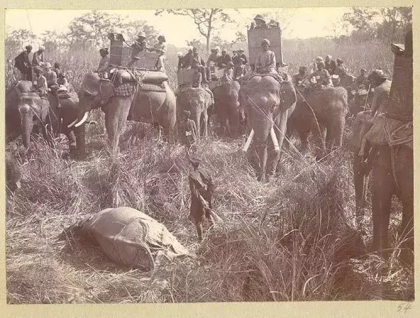 King George V Hunting in Nepal.