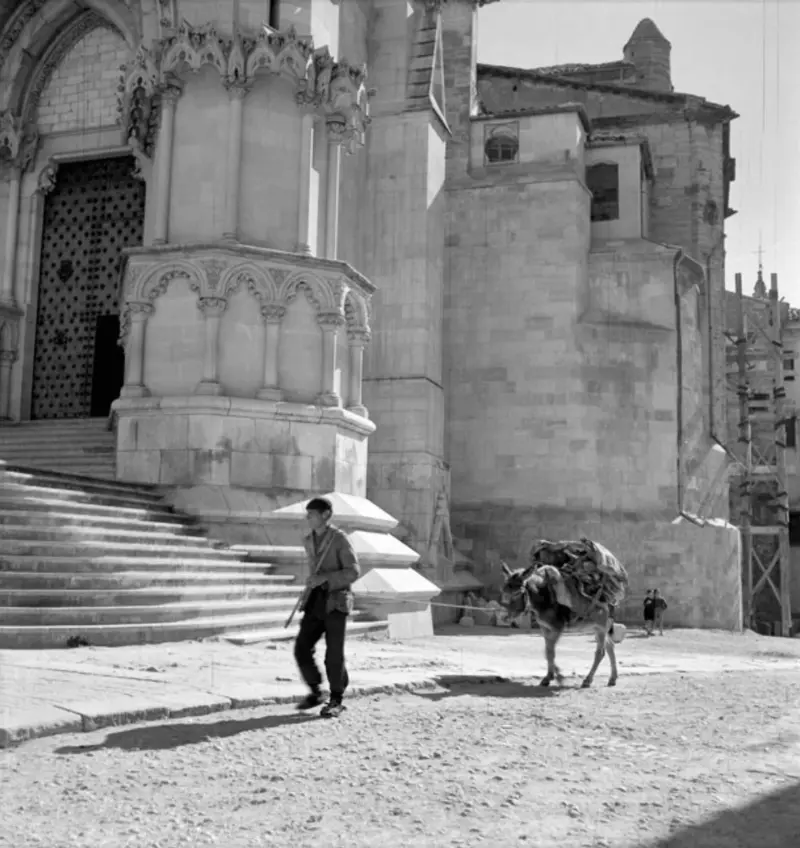 Hombre guiando un burro