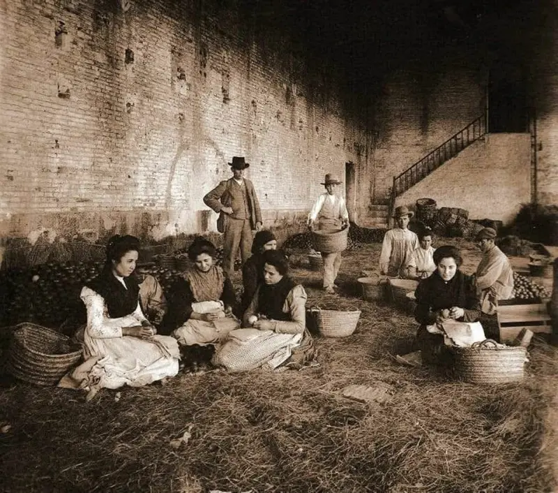 Empapelado de la naranja.