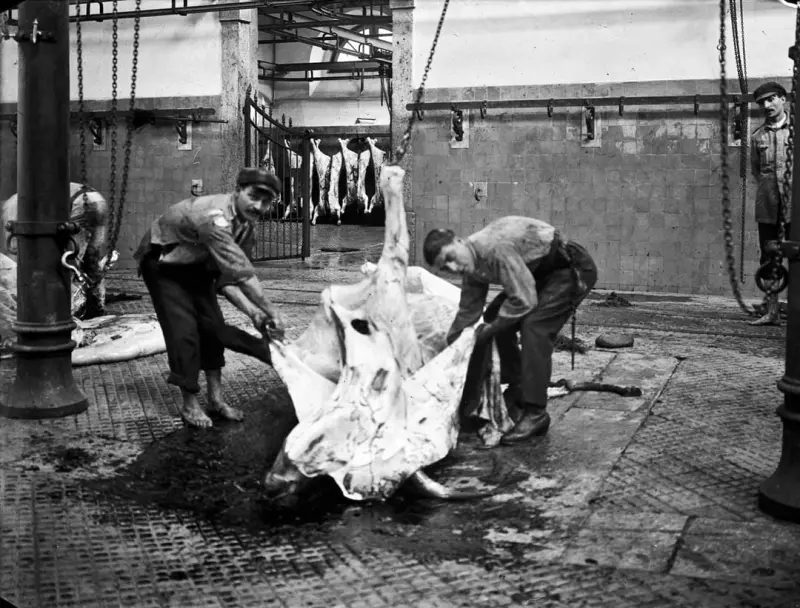 No interior do Matadouro Municipal