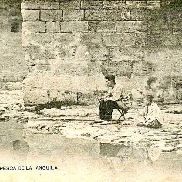 Pesca de anguilas