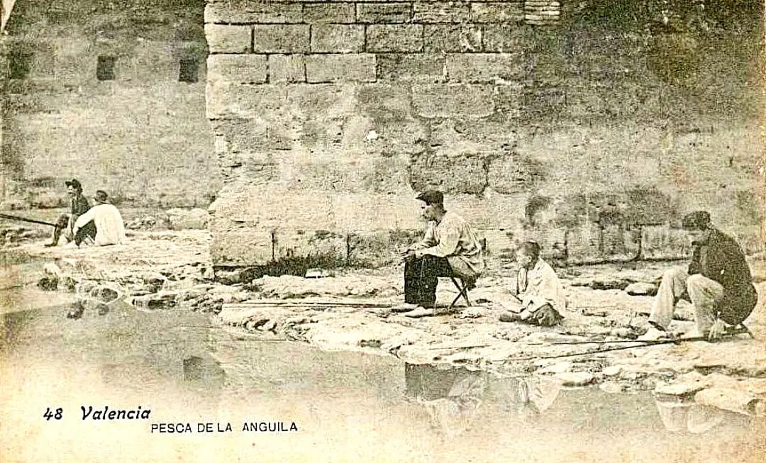 Pesca de anguilas