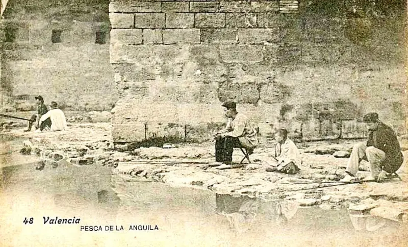 Pesca de anguilas