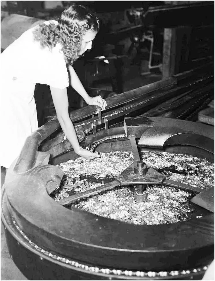 Fábrica de confites 