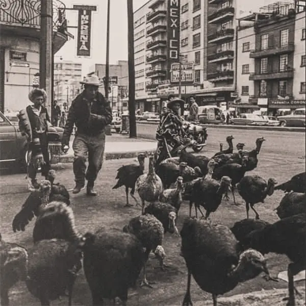 Familia campesina venden guajolotes.