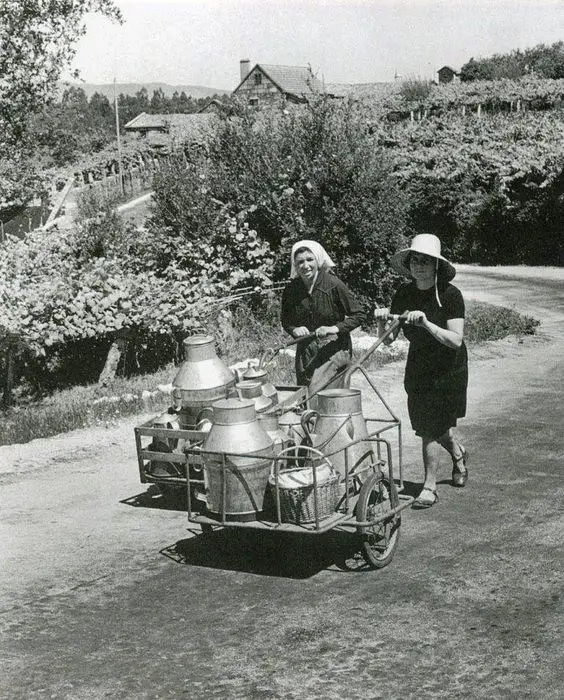 REPARTO DE LECHE Y QUESOS