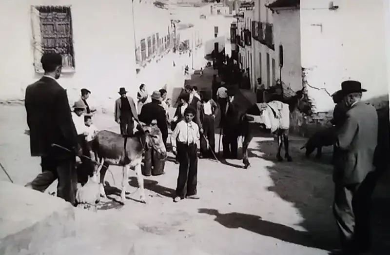 Día de mercado de ganado