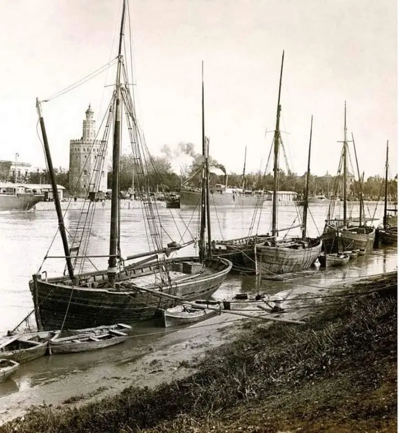 Sevilla, 1908.
Aspecto del muelle en la orilla de Triana con los clásicos barcos usados para la pesca del camarón.
Foto de  Stereo-travel Co.