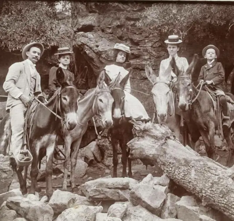 Five members of the Allen family on mules