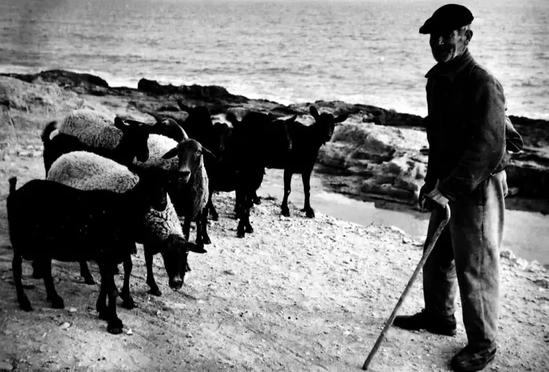 Pastor el Ti Garilla 