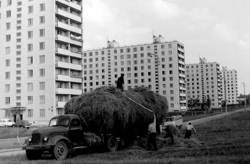 Haymaking